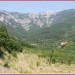 small_l1575_0