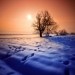 telpics_ru_979278649_119x119