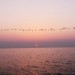 telpics_ru_510390044_119x119