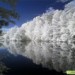 telpics_ru_327534293_119x119
