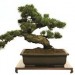 images10