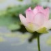 images17