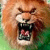 animal024