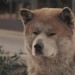 images15