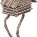 images6