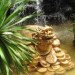 images11