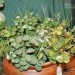 images24
