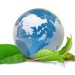 images9