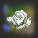images1