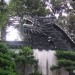 images26
