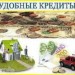 images7