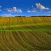 images10